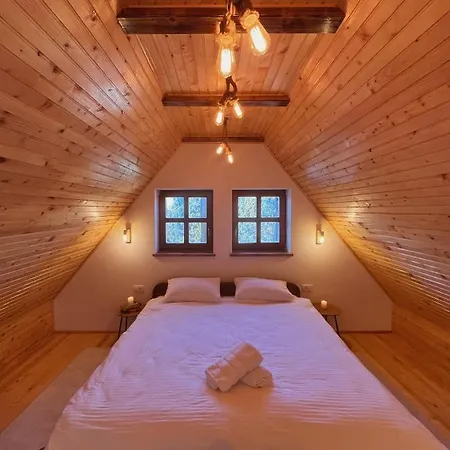 Astra Apartment Risovac